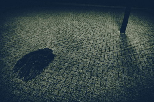 暗闇の路上に取り残された黒い髪の毛のような物体