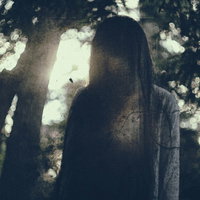 暗い森の中で呪いをかけられた女性のシルエットの写真