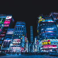 見上げた歓楽街の景色、ネオンサインと看板が密集する東京新宿の写真