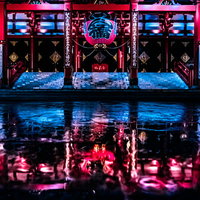 水溜りに映り込む夜の浅草寺本堂と赤い提灯の写真