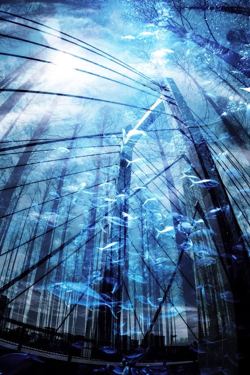 沈没都市（フォトモンタージュ）