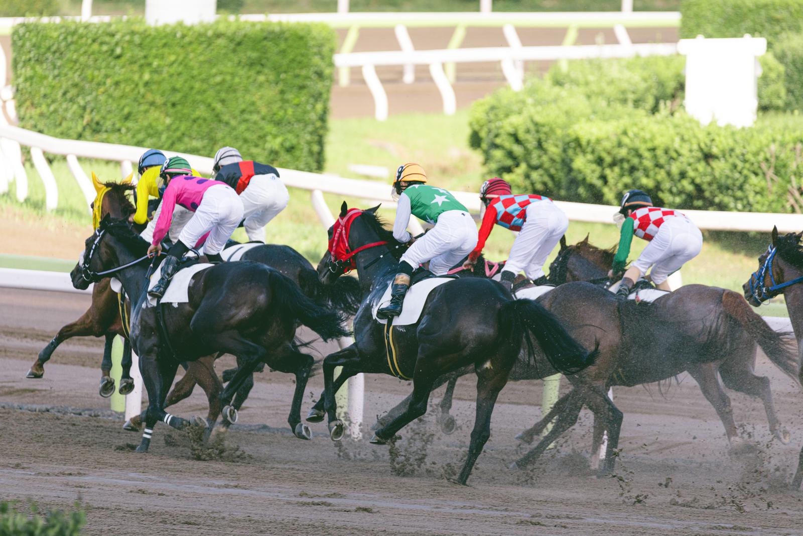 競馬トラックで複数の競走馬がジョッキーを乗せて走っている場面