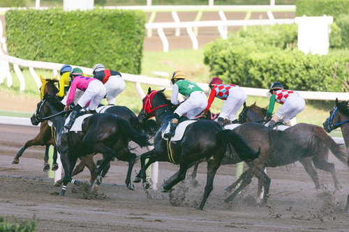 響き渡る蹄鳴、競馬トラックを駆ける競走馬と騎手たち