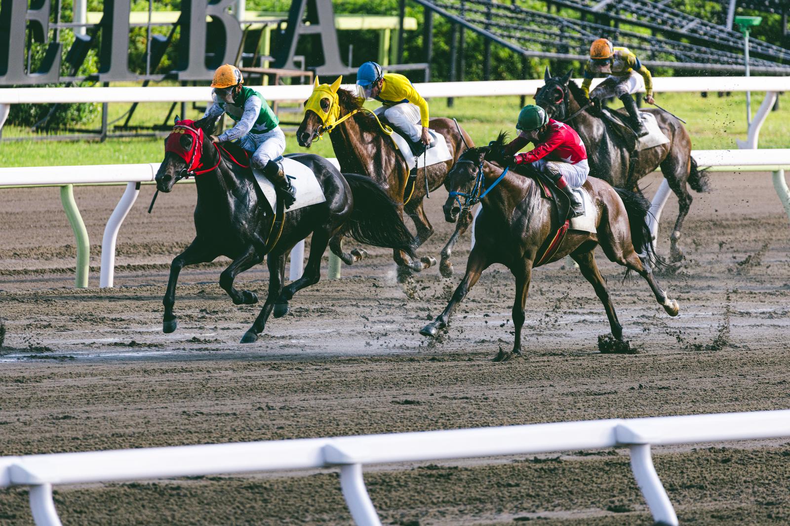 競馬場の最終直線で複数の競走馬とジョッキーが走る