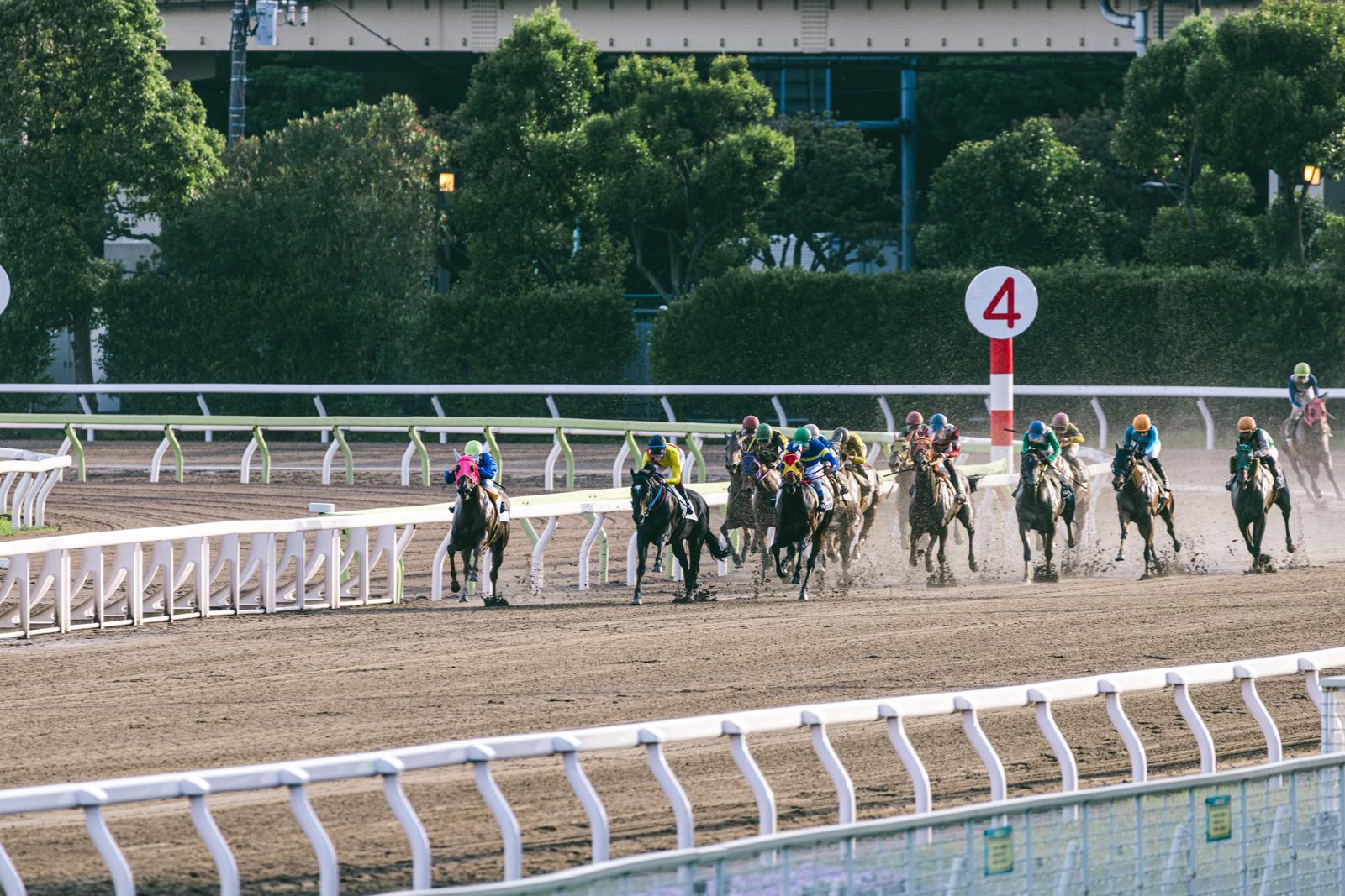 ダートコースで並んで走る競走馬とカラフルなジャケットのジョッキー