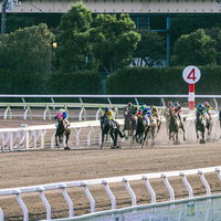 ダートコースを駆ける競走馬とジョッキーのレース風景の写真