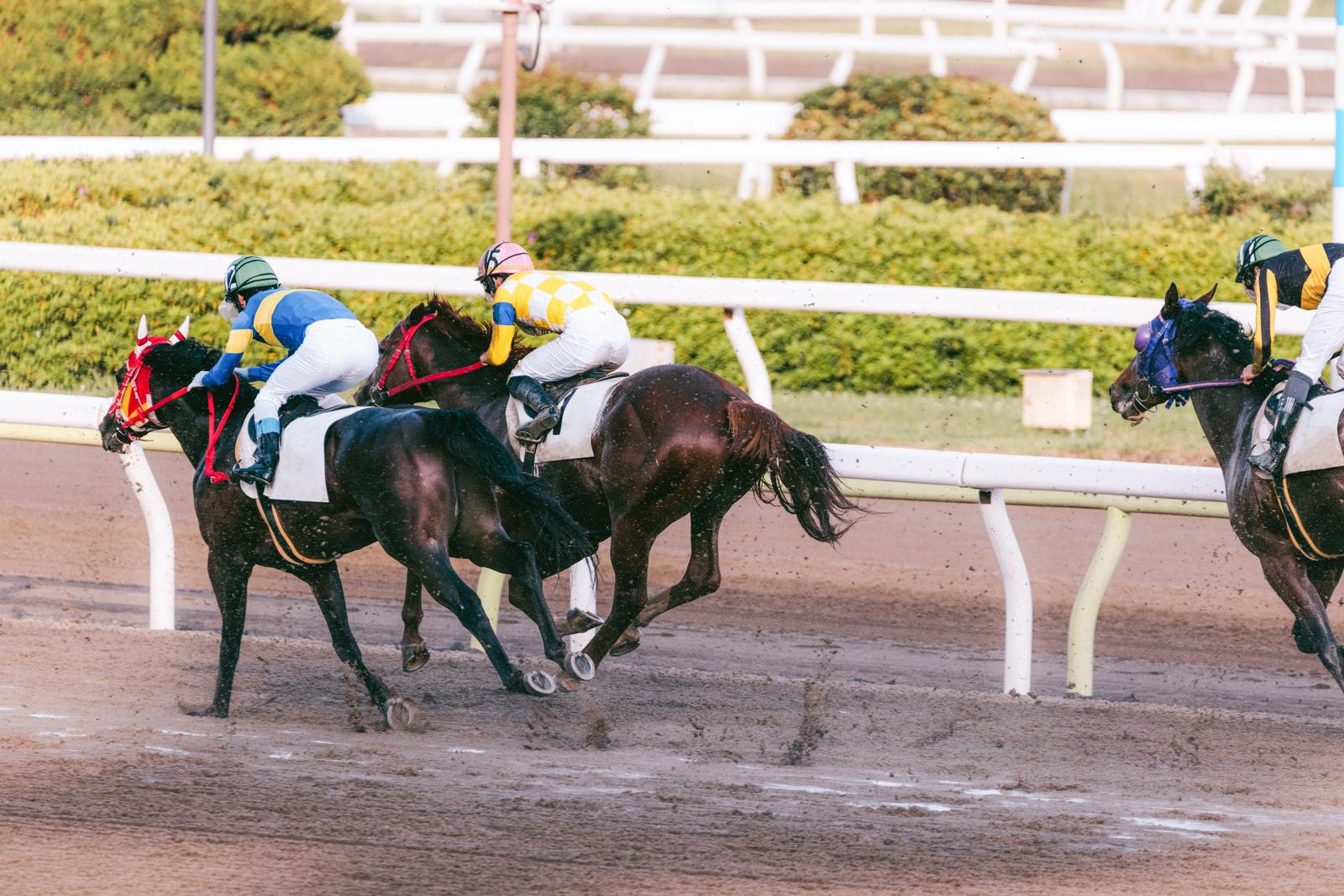 ダートコースを走る黒い競走馬と赤黄色の騎手ジョッキー