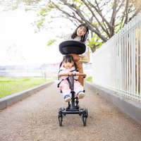 公園で黒いコンパクトベビーカーを持ち歩く紺ジャケットの女性の写真