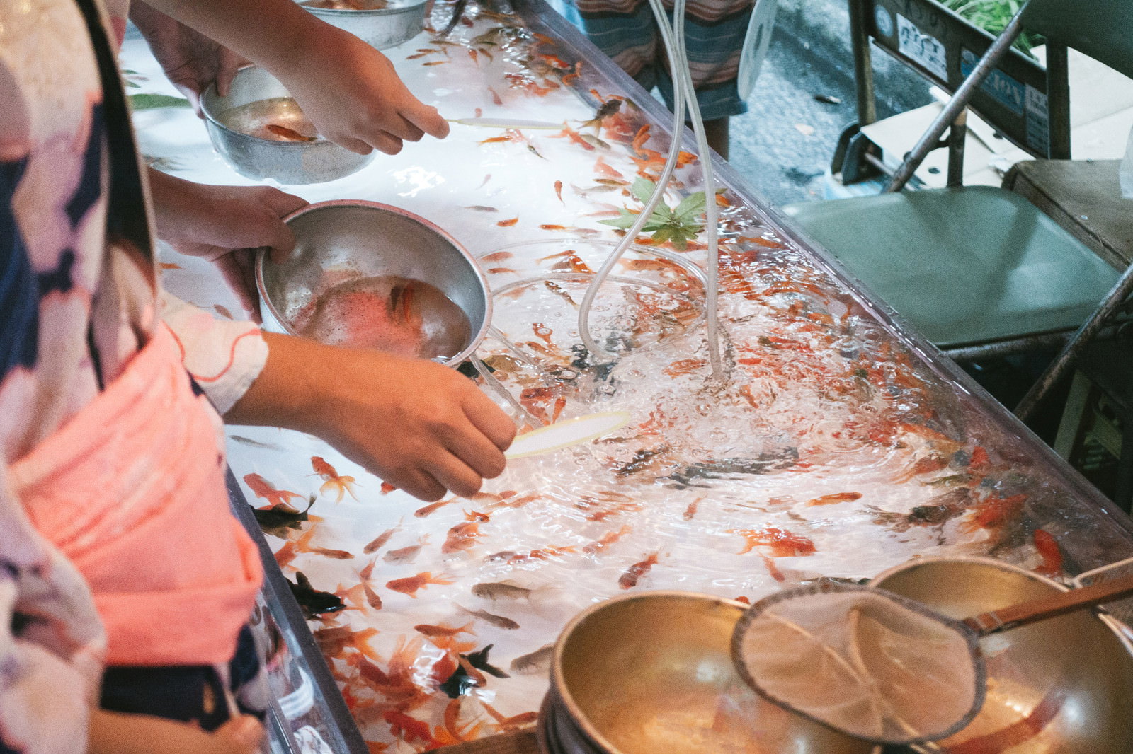 お祭りで金魚すくいを楽しむ人々の様子