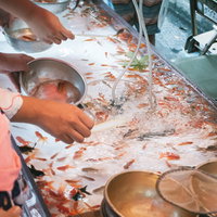お祭りの夏祭りで金魚すくいを楽しむ人たちの様子の写真