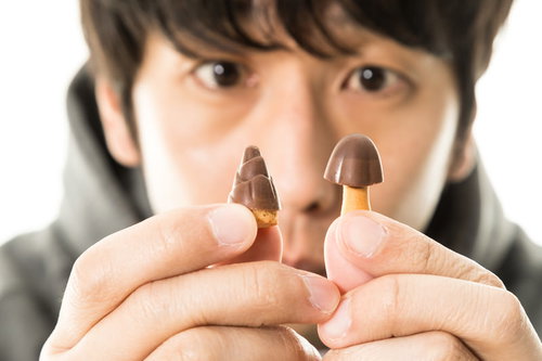 きのこの山とたけのこの里を手に持って見つめる男性