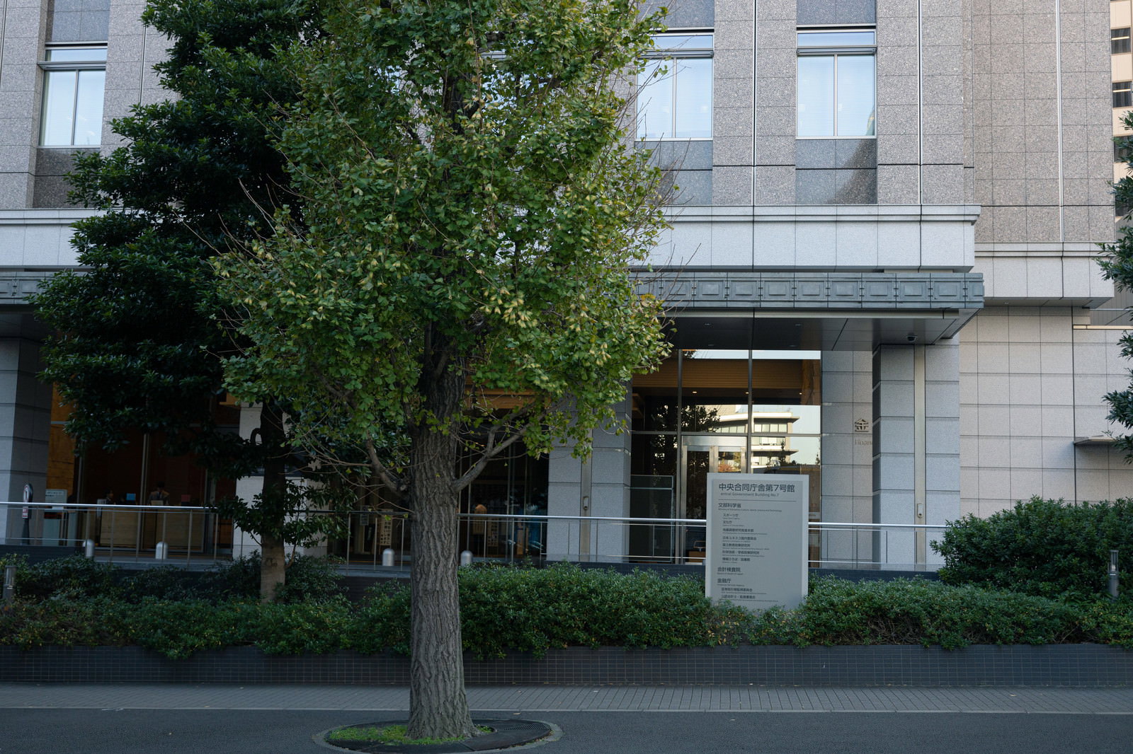 中央合同庁舎7号館の入口前に立つ街路樹と案内看板