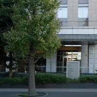 中央合同庁舎7号館（金融庁）前の入口と街路樹の写真