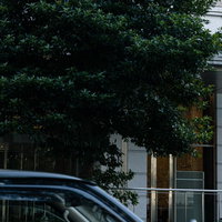 街路樹の陰から見える金融庁の看板と建物入口の写真