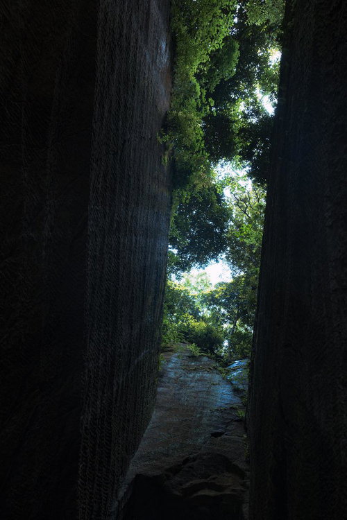 燈籠坂大師切通しのトンネルを見上げる樹木の緑