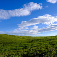 デスクトップ画面にしたくなる霧ヶ峰高原のハイキングコースの写真