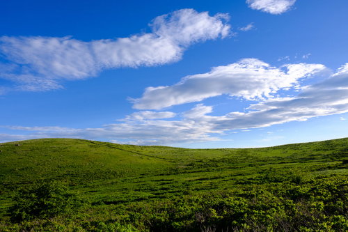 デスクトップ画面にしたくなる霧ヶ峰高原のハイキングコース