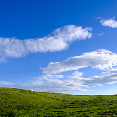 背景・壁紙にしたくなる霧ヶ峰高原の緑と青空の写真
