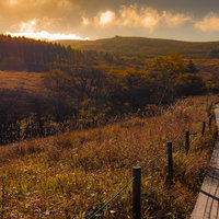 秋色に染まる霧ヶ峰高原の遊歩道とハイキングコースの写真