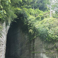 燈籠坂大師の切通しトンネルを抜けた先の緑豊かな風景の写真