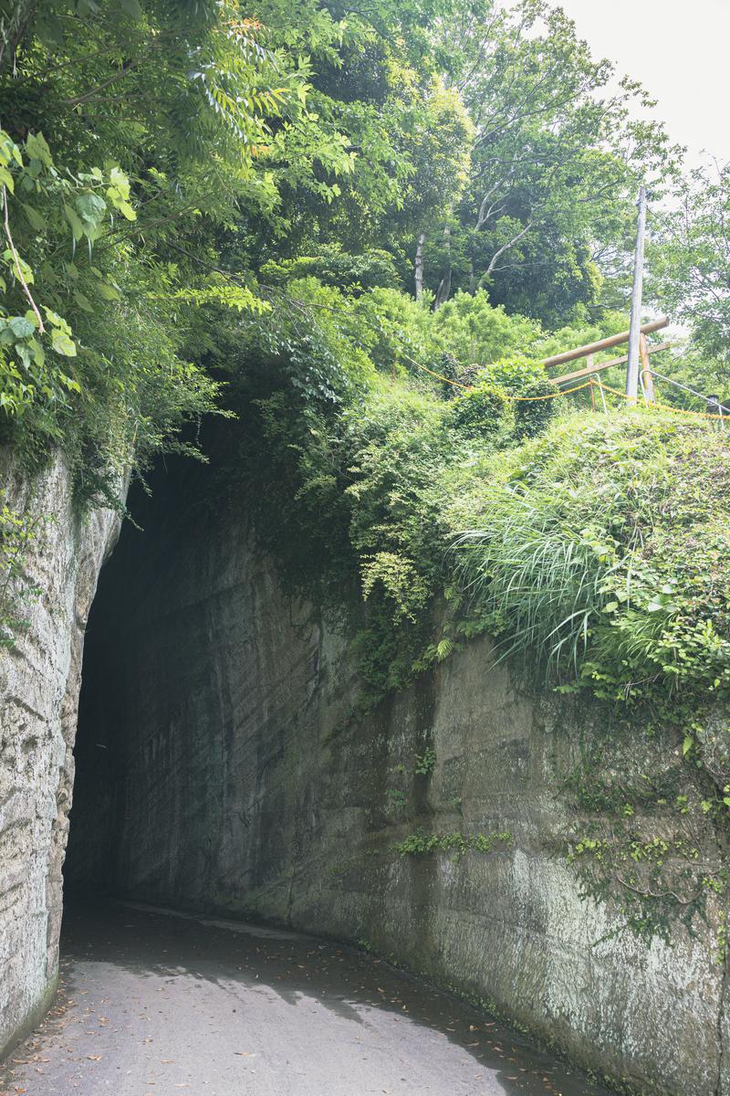 灰色の石壁に囲まれた切通しトンネルの先に緑の樹木が見える風景