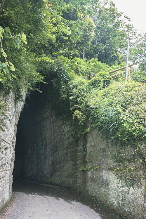 燈籠坂大師の切通しトンネルを抜けた先の緑豊かな風景