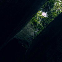 燈籠坂大師の切通しトンネルの天井から望む新緑の写真