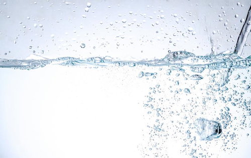 透明な水中で勢いよく立ち上がる無数の気泡と水面の水滴