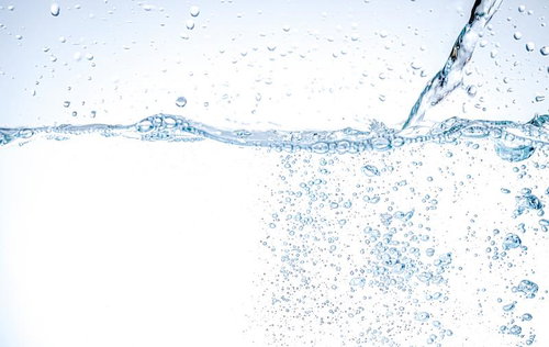 透明感が際立つ無数の泡