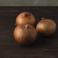 暗がりの木目に転がる玉葱 - 茶色い外皮の食材の写真