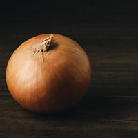 薄皮に張り巡るタマネギの筋が見える玉葱のの写真