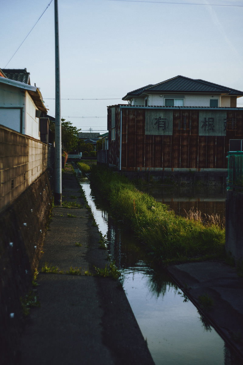 住宅街の路地脇を流れる用水路と民家が写された風景