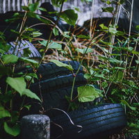 草むらに放置された廃タイヤ。道路脇の不法投棄の写真