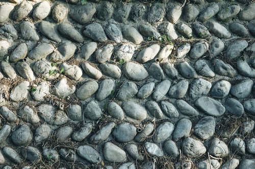 並べられた石積み擁壁の断面と苔の付着状況