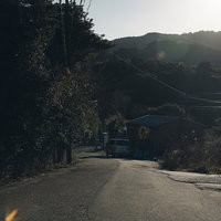 山林に囲まれた緑生い茂る下り坂に停まる白いバンの写真