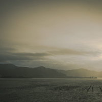 棒立てされた海と朝日の風景、養殖漁場の早朝風景の写真
