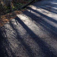 夕暮れと影が伸びるアスファルト道路の風景の写真
