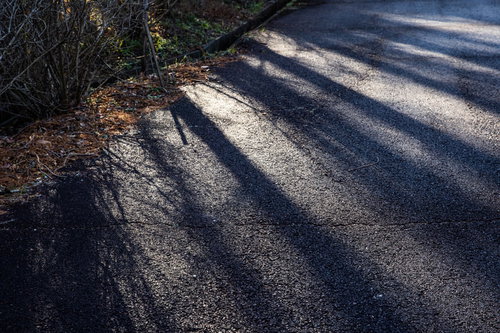 夕暮れと影が伸びるアスファルト道路の風景