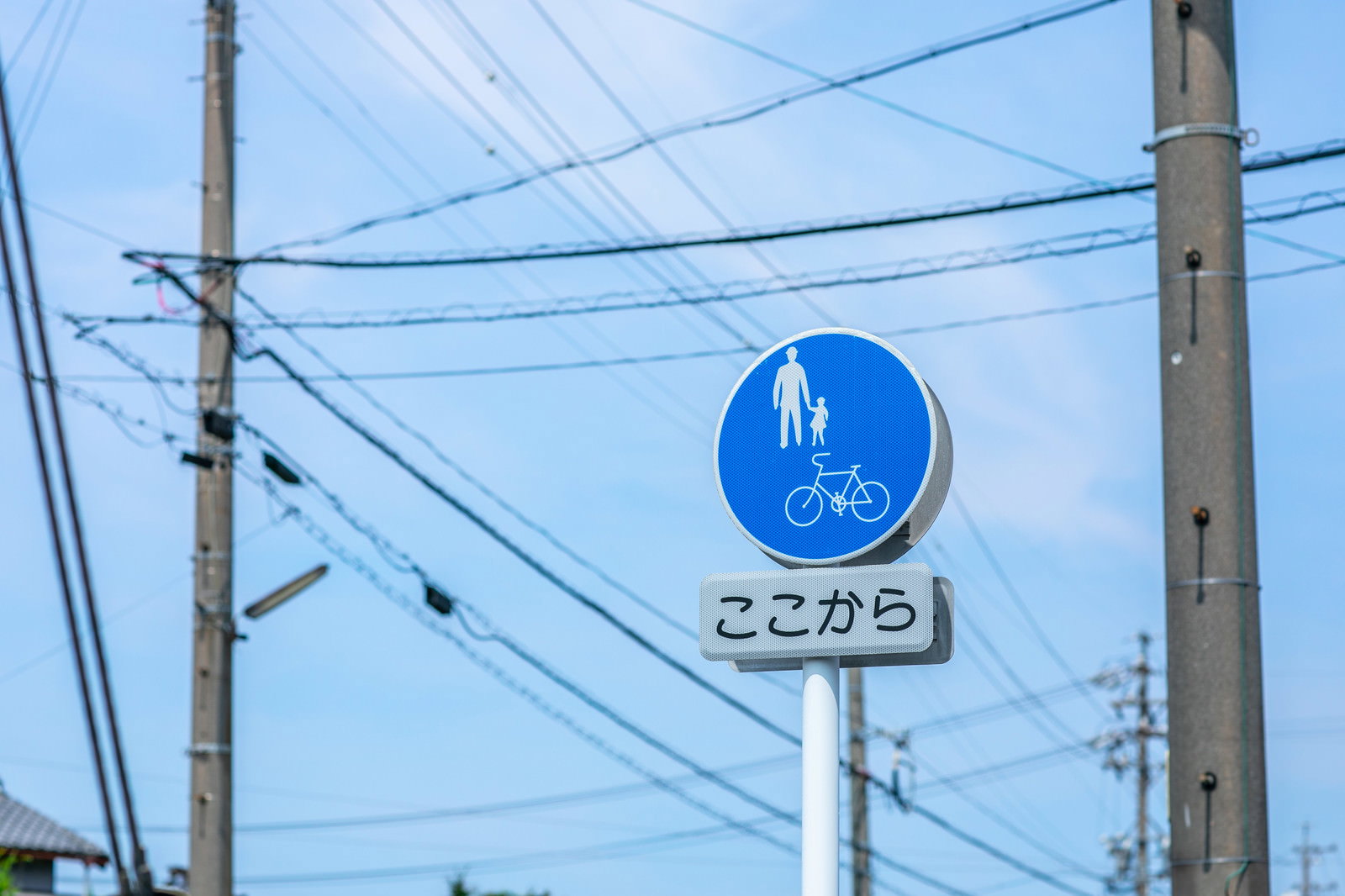 Blue circular sign for futsuu jitensha hokousha michi (ordinary bicycle and pedestrian path) with auxiliary sign 'koko kara' (from here) standing against a blue sky