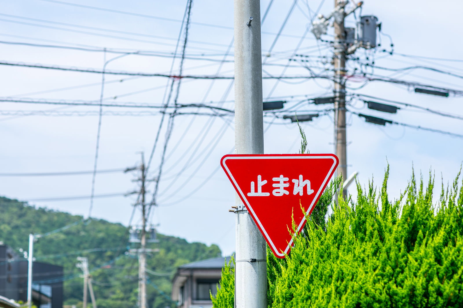 赤い三角形の止まれ標識が電柱に設置されている