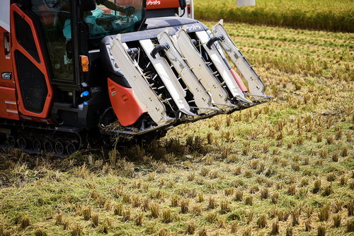 深夜の商店街に立つ錆びた看板と閉店した店舗群
