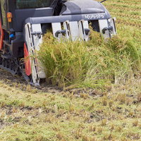 コンバインで刈り取る稲穂の収穫作業の写真