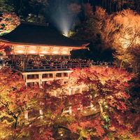 京都清水寺の紅葉ライトアップと観光客で満ちた夜景の写真