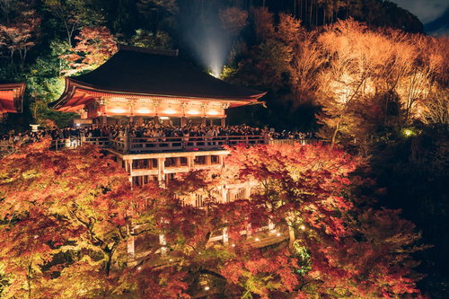 京都清水寺の紅葉ライトアップと観光客で満ちた夜景