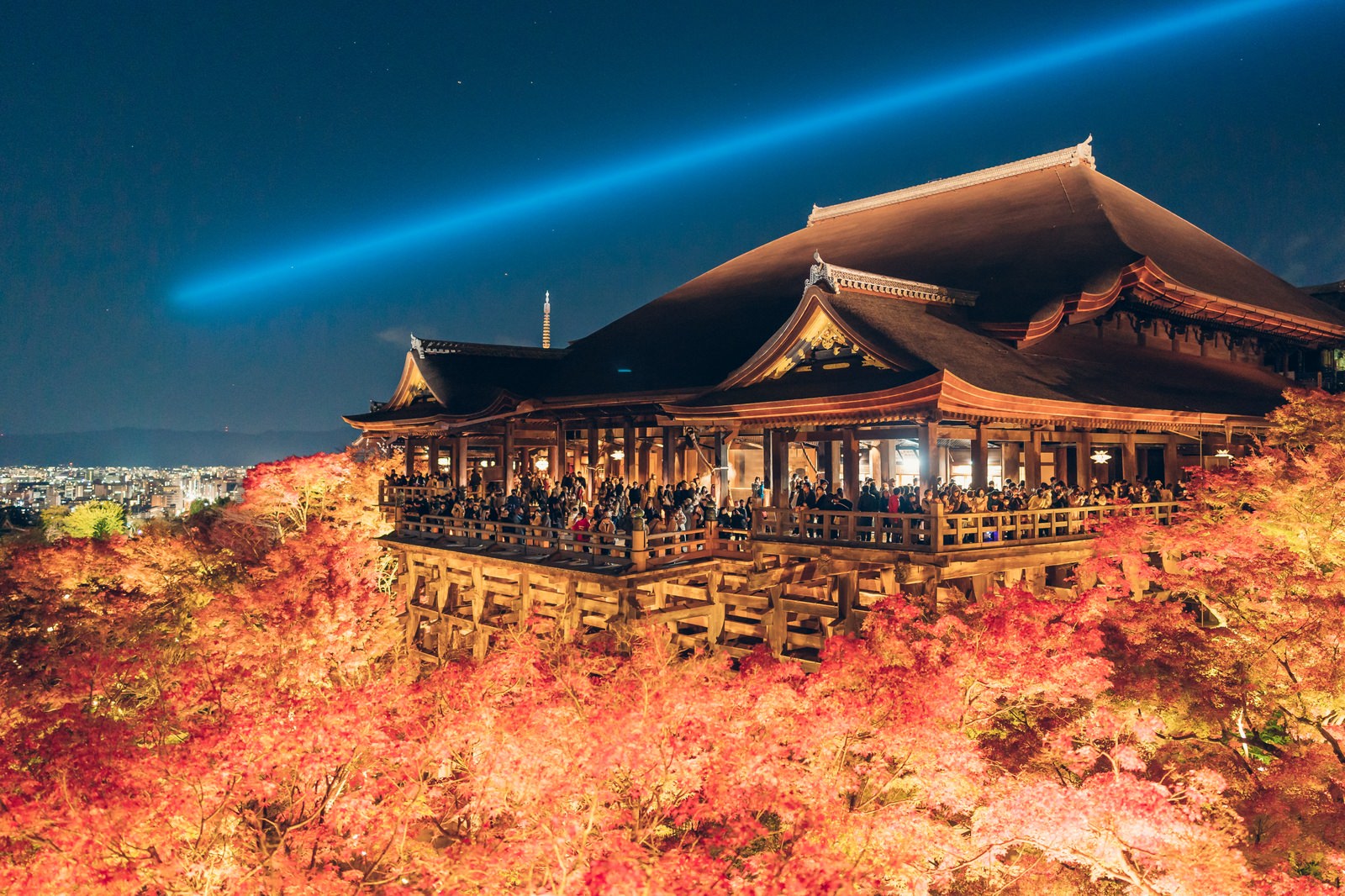 紅葉と清水寺のライトアップ夜景