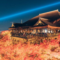 紅葉と清水寺のライトアップ夜景の写真