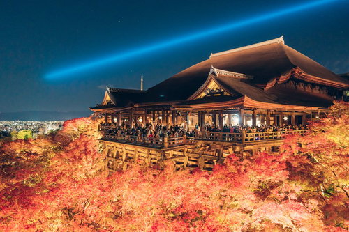 夜の清水寺、紅葉に包まれた木造建築の舞台がライトアップ