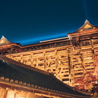 清水の舞台を見上げる夜のライトアップと紅葉の写真