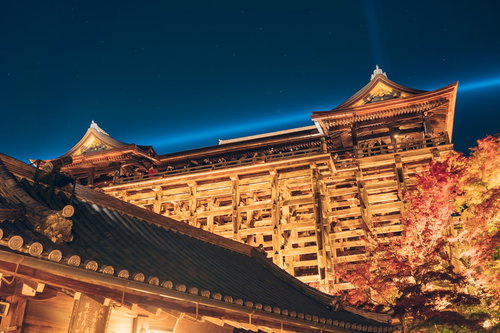 清水の舞台を見上げる夜のライトアップと紅葉