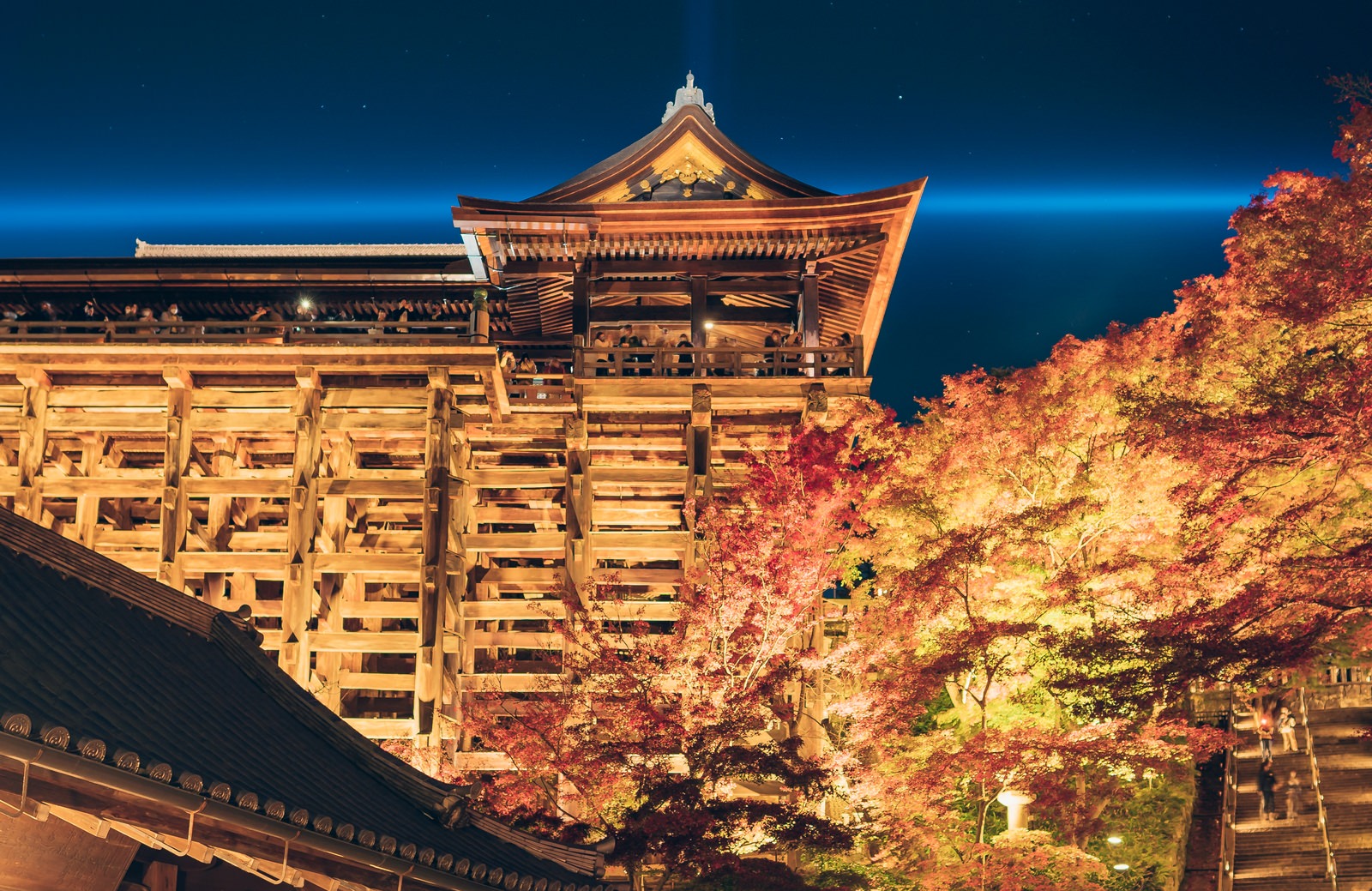 夜間ライトアップされた清水寺の木造舞台と紅葉